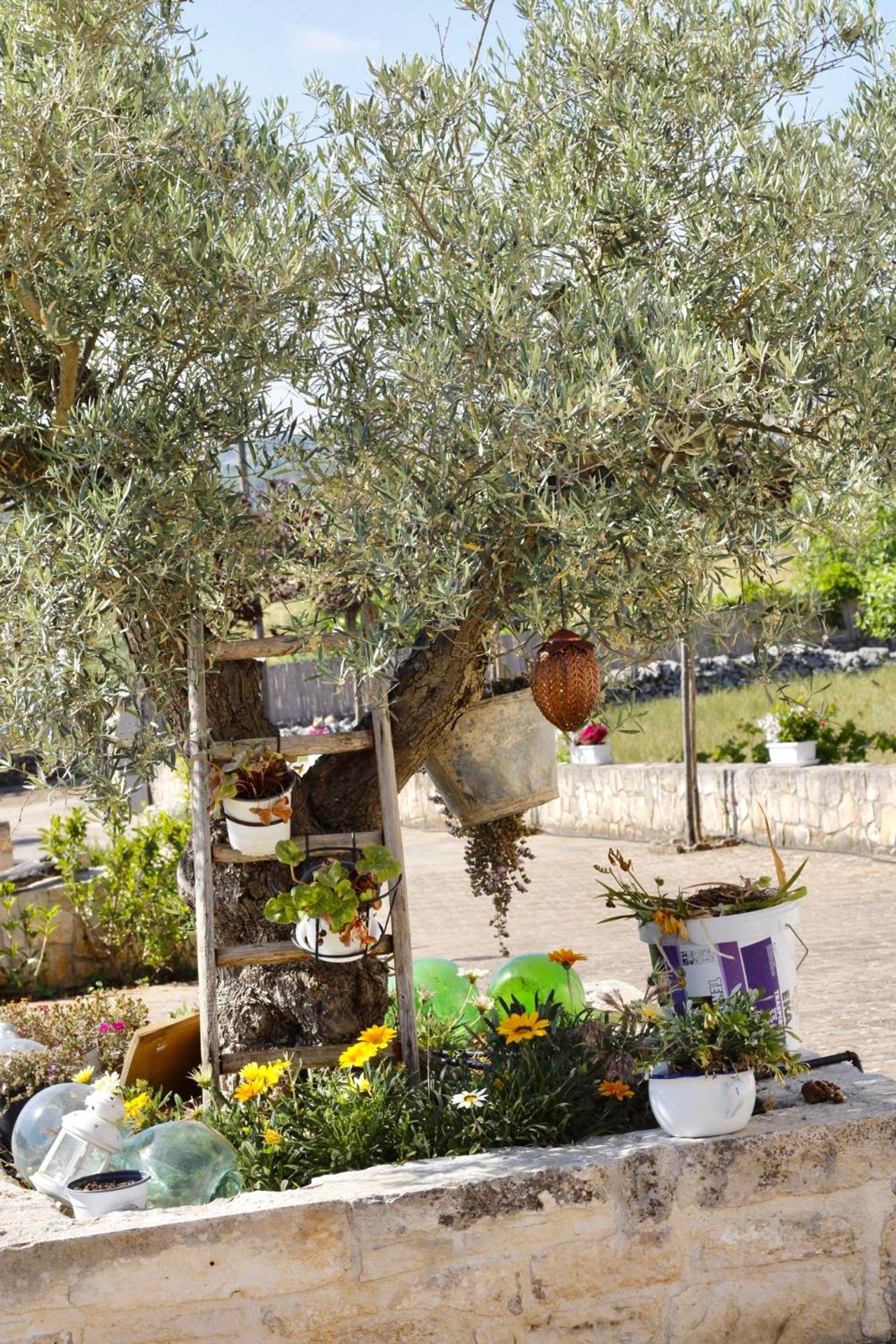 Il Vigneto Sole&Luna Con Piscina Privata Мартина Франка Екстериор снимка